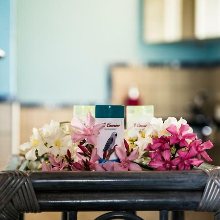 B&B Il Cenerino SantʼAntìoco エクステリア 写真