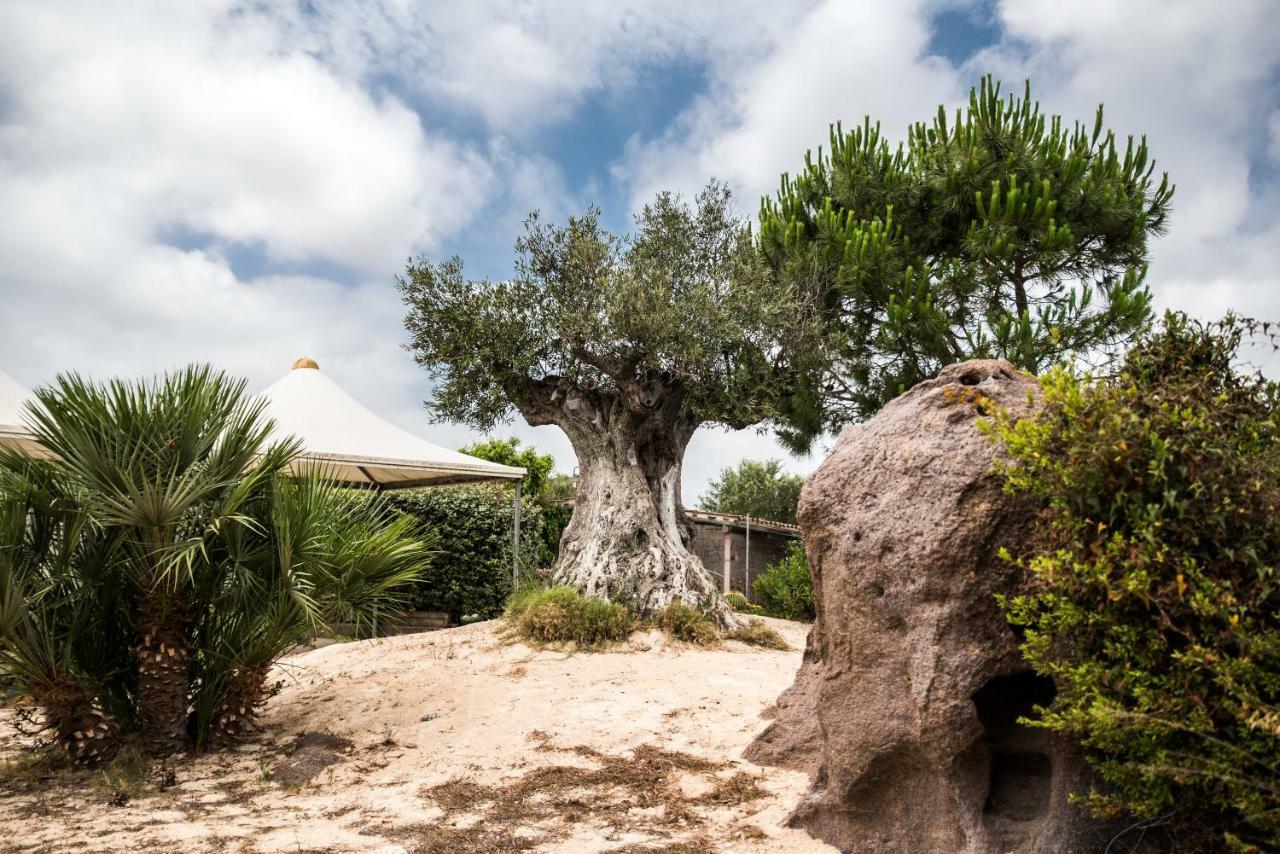 B&B Il Cenerino SantʼAntìoco エクステリア 写真